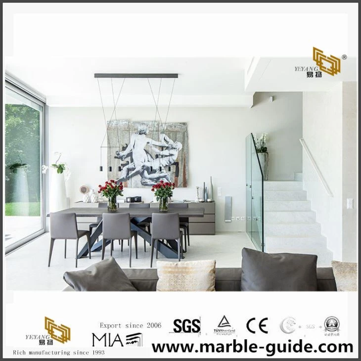 Luxury Villa Projects For Reference