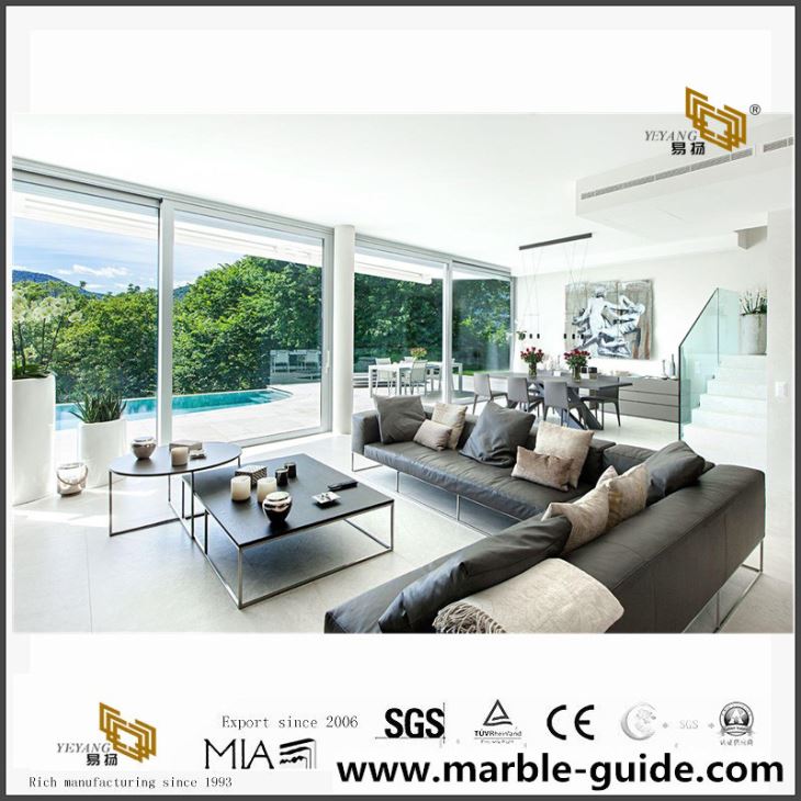 Luxury Villa Projects For Reference